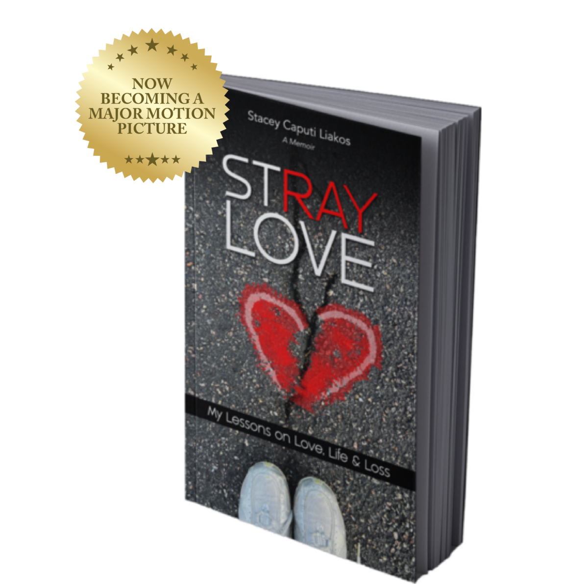 stray love book cover feature